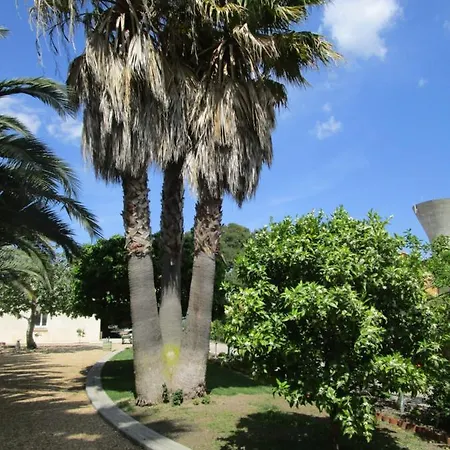 Homestay Les Palmiers Vias