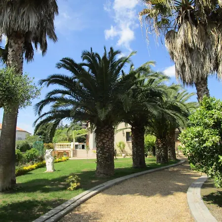 Homestay Les Palmiers Vias